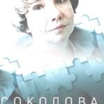 Соколова Подозревает Всех Постер